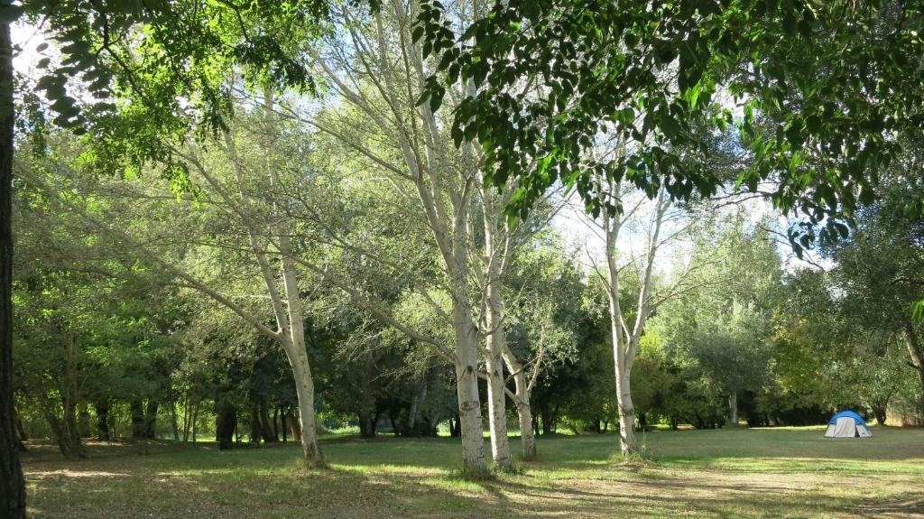 Camping Paradis Bellerive Montfrin エクステリア 写真