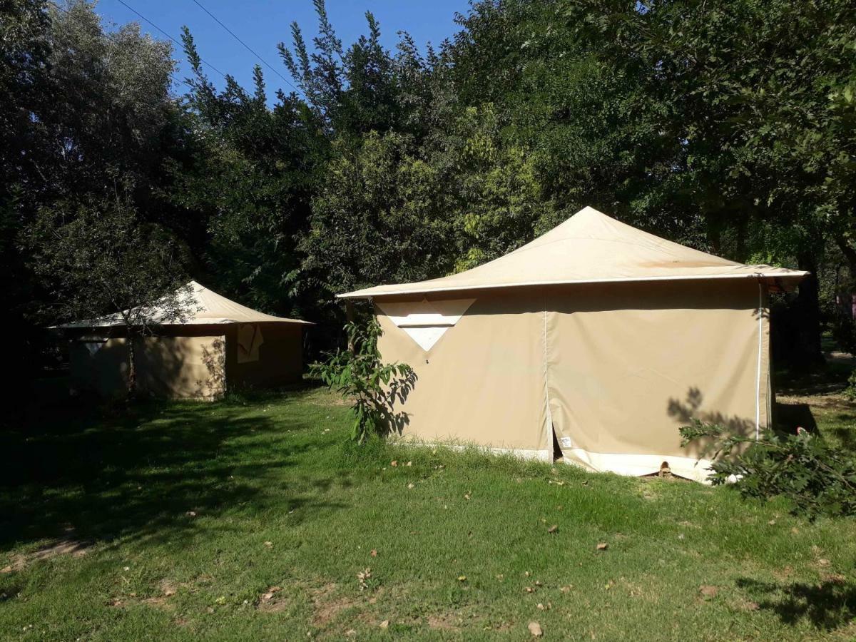 Camping Paradis Bellerive Montfrin エクステリア 写真